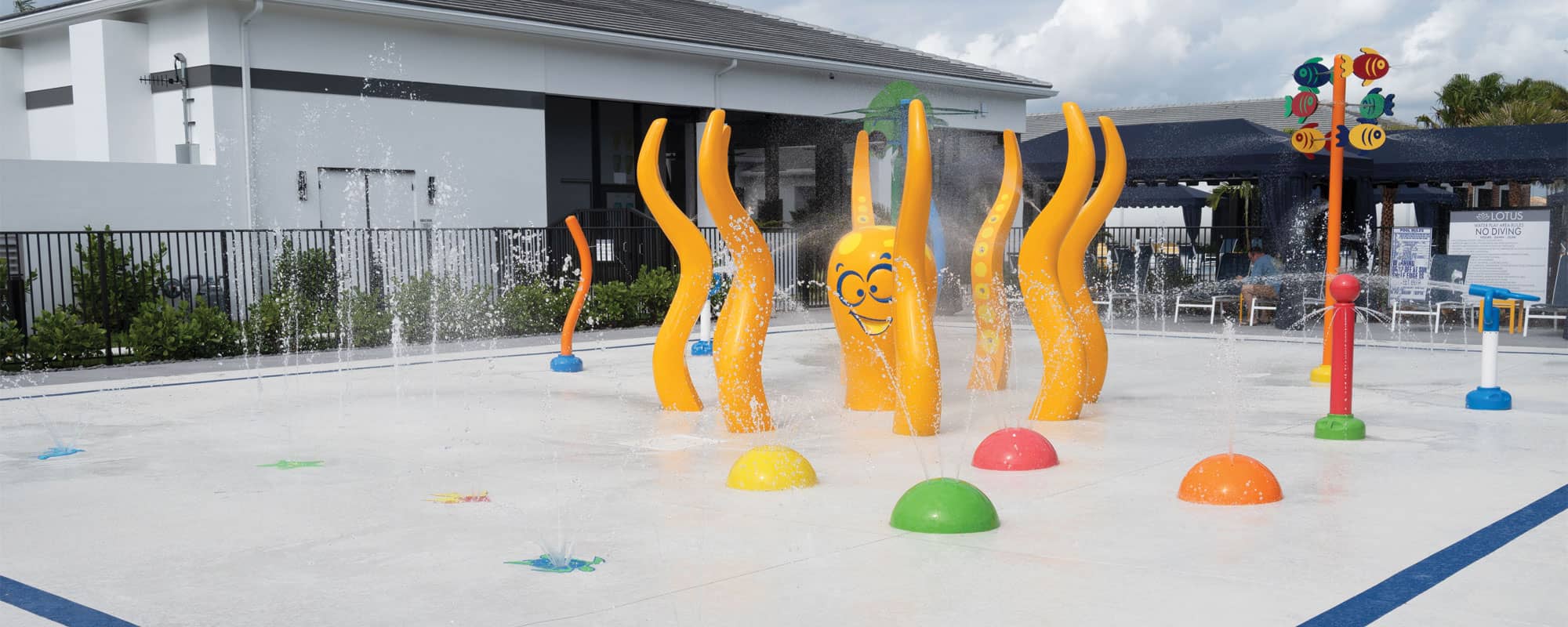 Lotus Splash Pad 