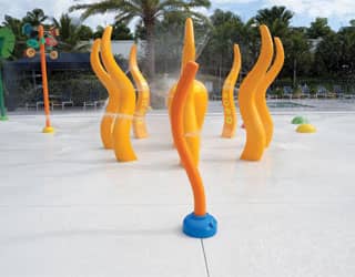 Lotus Splash Pad 