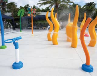 Lotus Splash Pad 