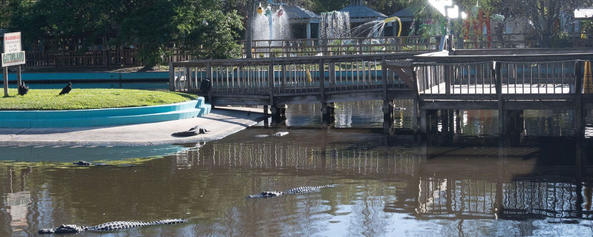 Gator Gully Splash Park